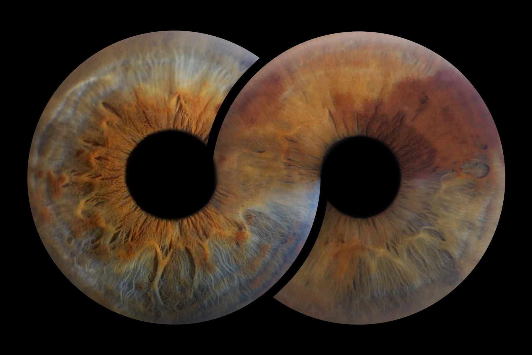 Composición de dos iris entrelazados de Mundo Iris